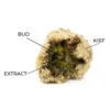 Future Infused Flower