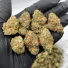 Buy OG Kush Online