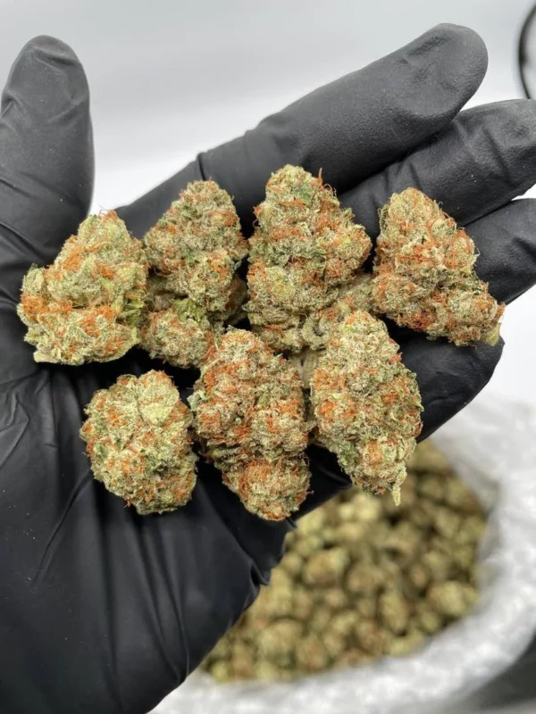 Buy OG Kush Online