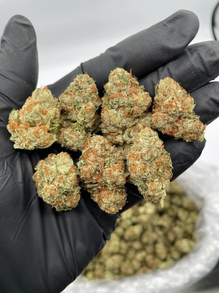 Buy OG Kush Online
