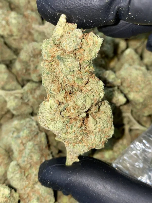 Afghan kush