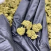 Afghan kush - Image 2