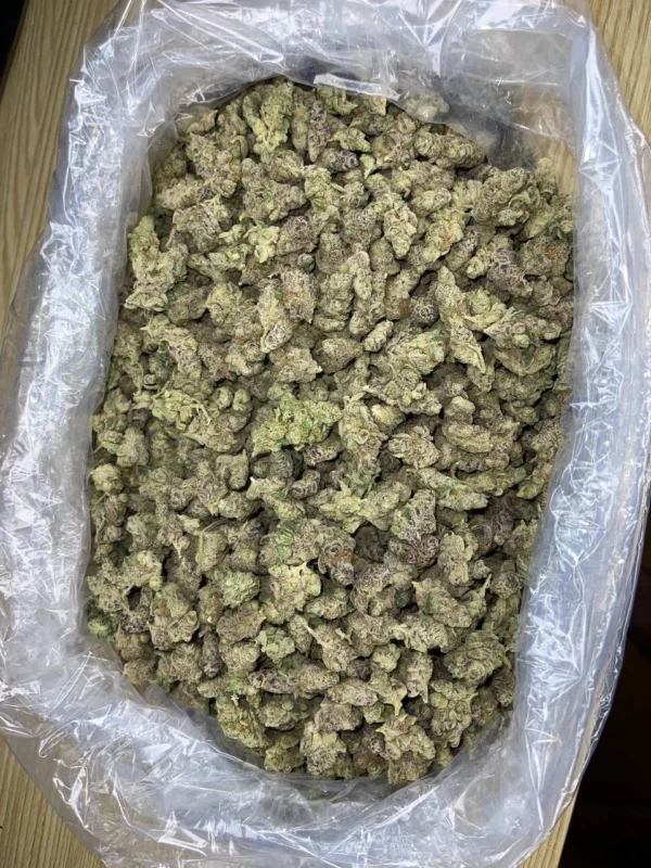 Biscotti mediums