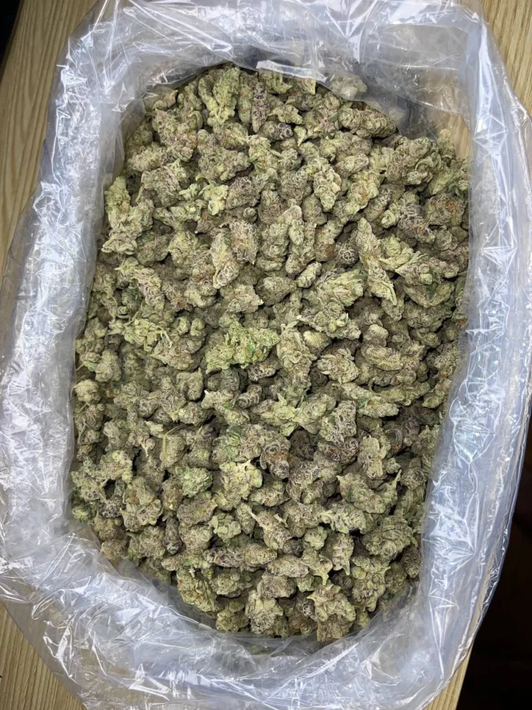 Biscotti mediums