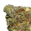 Crazy Glue