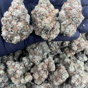 Gorilla Glue Strain