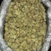 Gorilla Glue Strain