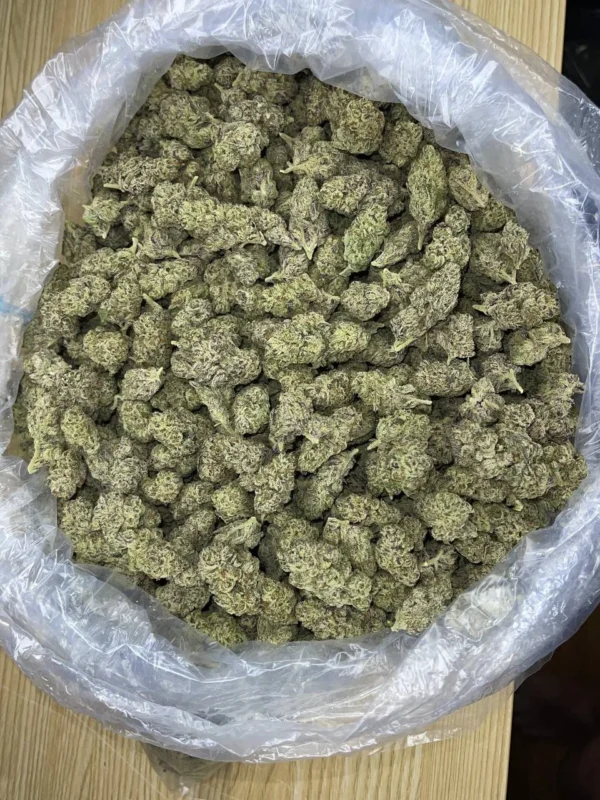 Buy Ice Cream strain online at Zazaklub