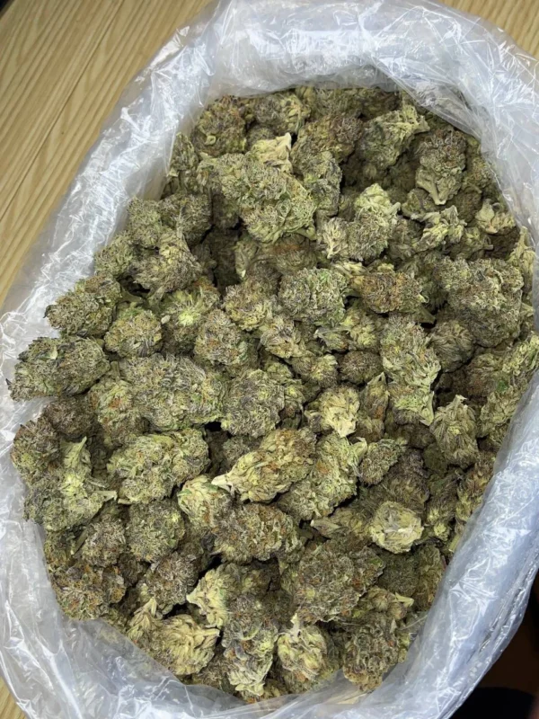 Buy Purple Cream Strain Online
