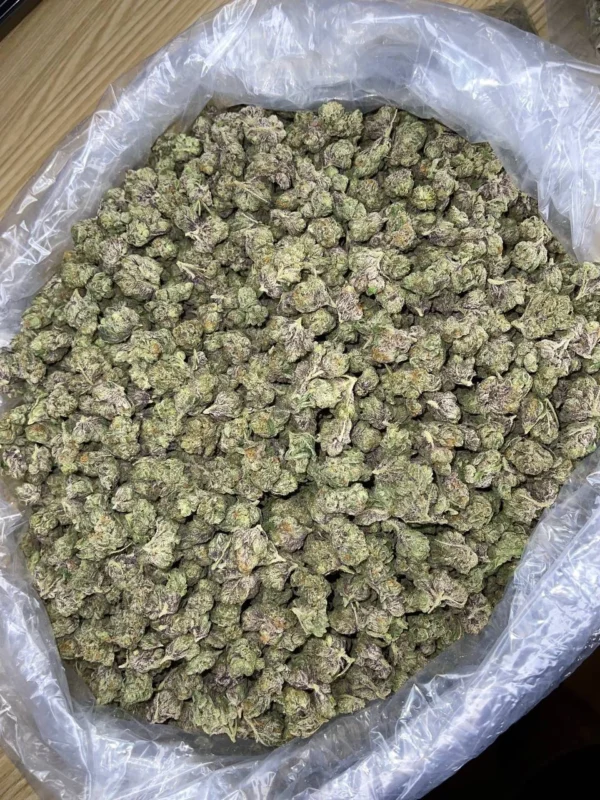 Buy Lemon Cherry Tart Strain Online at Best Price – Zazaklub