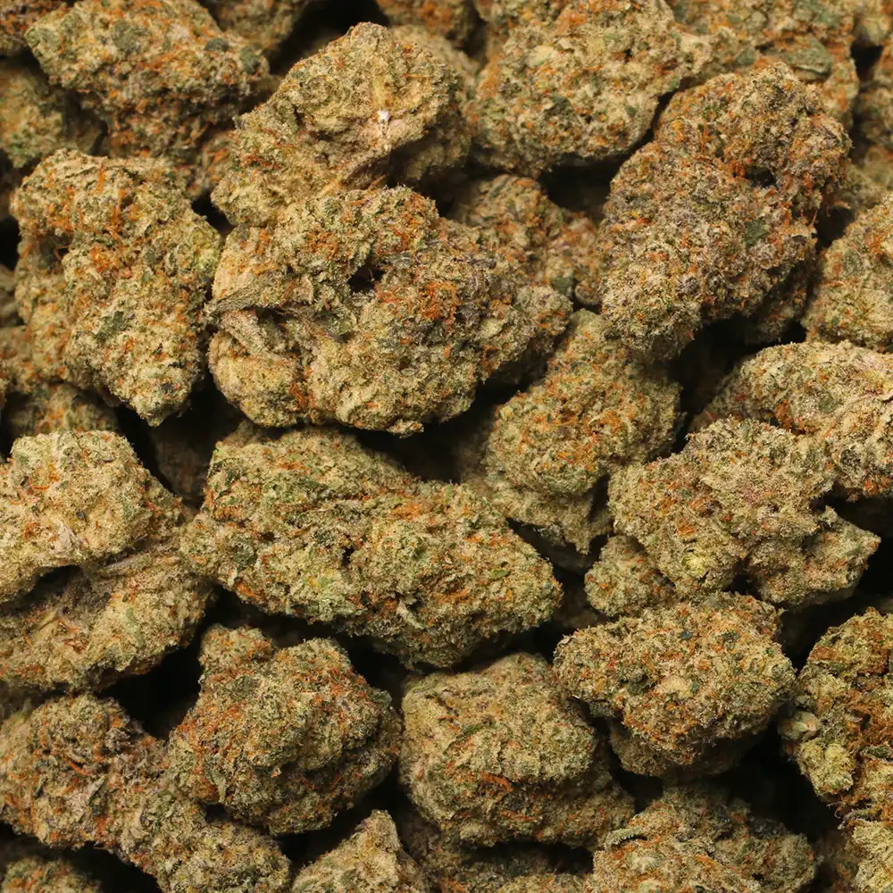 Buy Lemon Cherry Online at Best Price – Zazaklub