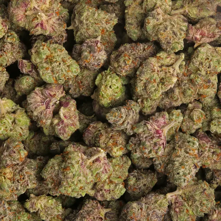 Night Moves Indica - Image 3