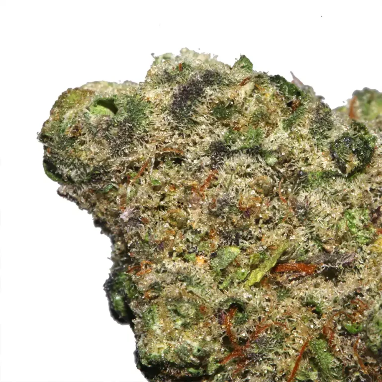 Night Moves Indica - Image 2