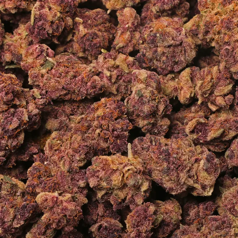 Super Buff Cherry - Image 3