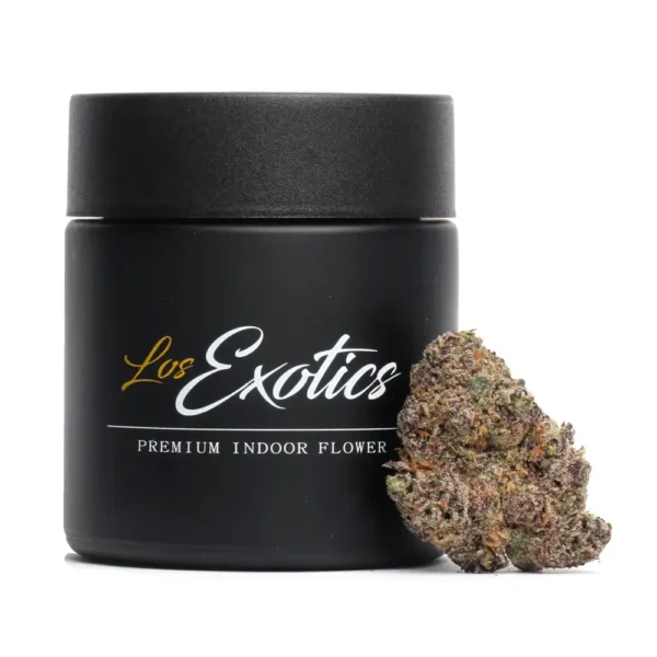 Buy Crypto Gumbo Online